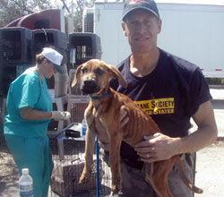 Rob helping a pup in need after Hurricane Katrina